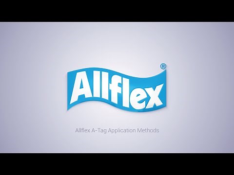 How to Apply the New Allflex A-Tag Feedlot