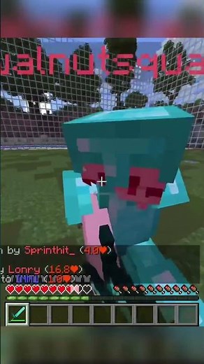 [Minecraft] First time playing Java