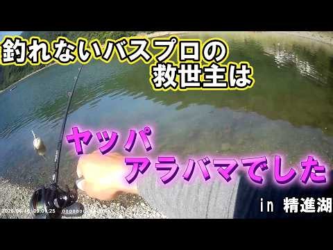 釣りガマンを求めて第二百十釣夜 精進湖編