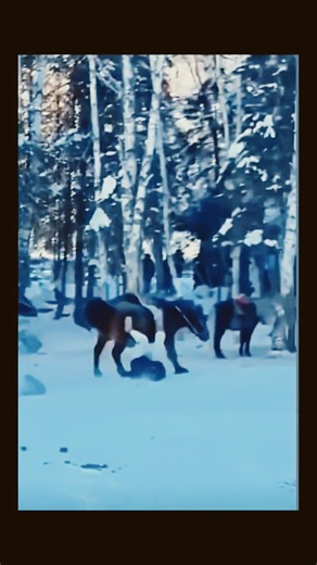 The rider was rescued in time