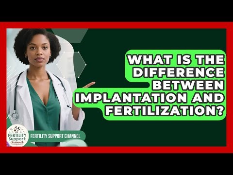 What Is the Difference Between Implantation and Fertilization? | Fertility Support Channel