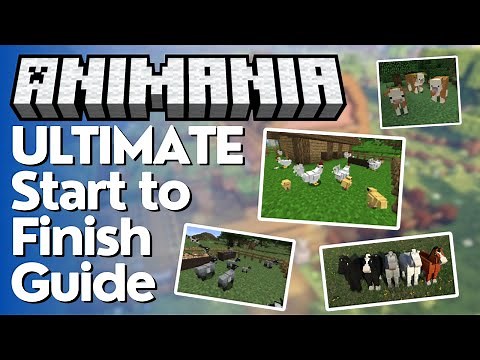 The Ultimate Guide to Animania