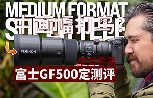 富士GF 500mm F5.6测评：中画幅拍鸟类和野生动物？(中文)PetaPixel胡子哥