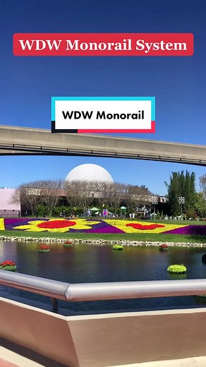 Disney World Monorail: Everything You Need to Know