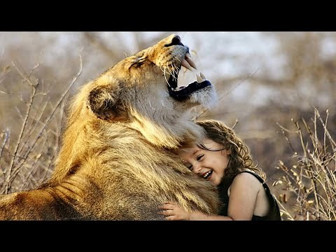 Lions Save Girl From Kidnappers - The incredible Story Of Lions Saving Little Girl