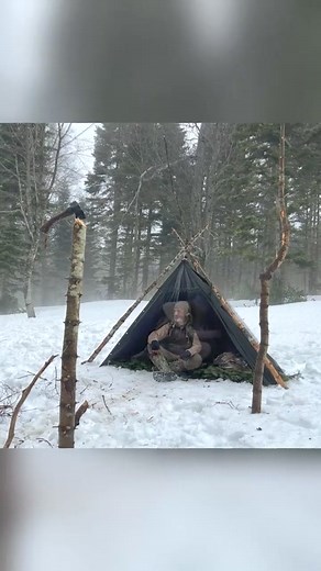 1.1M views · 9.2K reactions | Solo Two Day Winter Bushcraft Camp 1 #bushcraft #build #camp #camping #survival #shelter #wildlife #Outdoors #outdoor #viral #fyp #foryou | American Pulse News | Facebook
