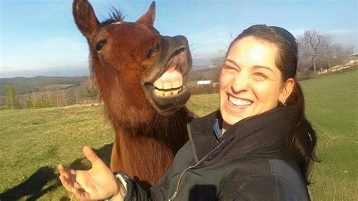 The most hilarious animal moments of 2024