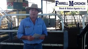 19 reactions | Today's video market report brought to you by David...