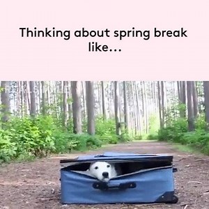 1.2M views · 2.5K reactions | We're all packed and ready to go! ✈️ | Real Simple | Facebook