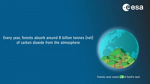 24K views · 243 reactions | In 20 days, ESA's #Biomass satellite will be launched! The mission's P-band synthetic aperture radar can penetrate through the forest canopy to measure trees‘ biomass (woody trunks/branches/stems), which is where trees store most of their carbon. | ESA - European Space Agency | Facebook