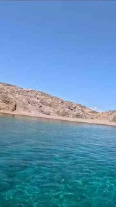 Roosterfish and Hawkfish in Baja California