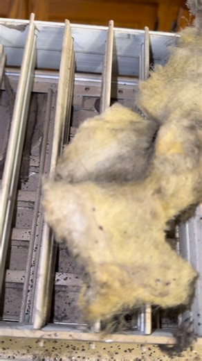 How to inspect ductwork in your home and office? How to clean air duct DIY? How to improve air quality? #afterconstructiondust #ductcleaner #minisplits #dryervent #airventcleaning #ventsducts #vents #minisplits #centralair #ductsandvents #hvac #newhome #newhomeideas | Peter Clem