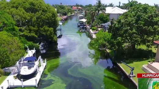 How will Hurricane Michael impact Florida’s red tide problem?