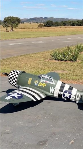 P-47 Snafu Radial