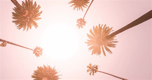 NEW ALBUM/GALLERY | 2021