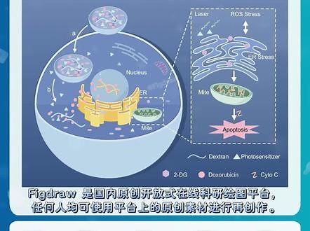 sci流程框图配色方案色号经典5种