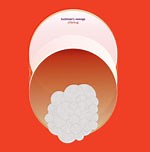 Bushman's Revenge: Jitterbug album review @ All About Jazz