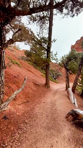 Exploring the Beauty of Bryce Canyon National Park