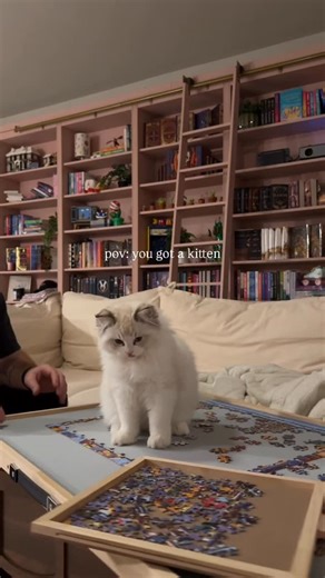 Jess | Cozy Spaces & Hobbies on Instagram: "who just REALLY wants to get behind my pc so he can chew on the cords 😅 #pcgaming #gamercouple #gameroom #hobbyroom #pcgamer"