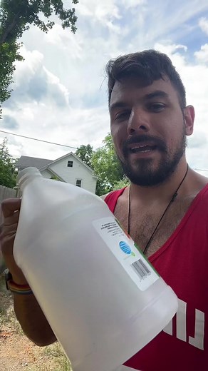This is how I clean fossil Megalodon caked with barnacle residue. Follow for more!
