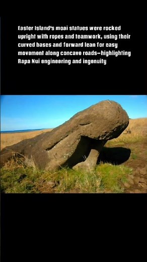 Secrets of the Walking Moai 🗿|
