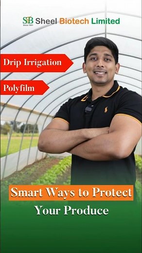 High-Yield Farming with Drip & Polyfilm Explained | Sheel Biotech