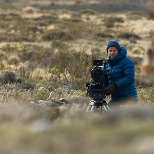 736K views · 65K reactions | Good wildlife filmmaking begins with a desire to spend time immersed in the wonder of nature. Don't miss #AnimalsUpClose with Bertie Gregory, an Original series streaming September 13 on Disney+. | National Geographic TV | Facebook