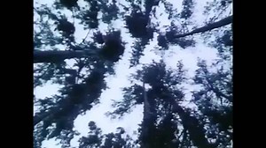 2.9K views · 96 reactions | 6:45 Pink Floyd - Dogs Of War (1987).  | Domination Blues | Facebook