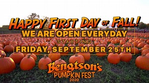 Bengtson's Pumpkin Farm on Reels