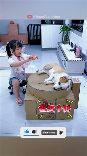 Nothing beats a Jet2 holiday #animals #Funny #funnyanimals #love #cute #pets #cat