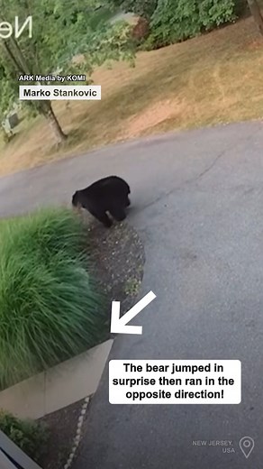 37K views · 111 reactions | Not your average morning walk!  | ARK Media | Facebook