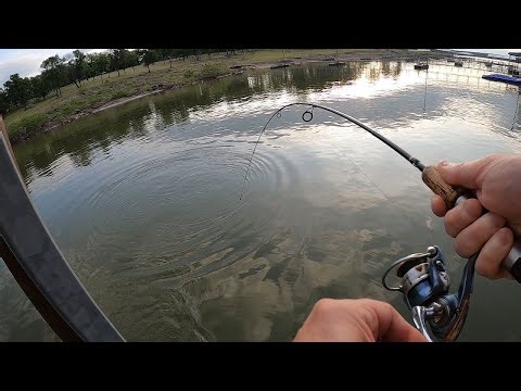 Catching sand bass two at a time