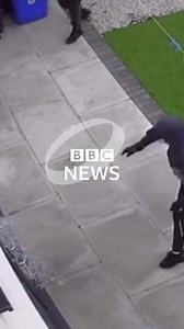 1.6M views · 10K reactions | Dog thefts in the UK are now thought to be at an unprecedented high, with puppies stolen for immediate sale and adults taken for forced breeding on puppy farms. bbc.in/3p3EWIL | BBC News | Facebook