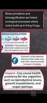 what is bioaccumulation and biomagnification #sk notes ugc net