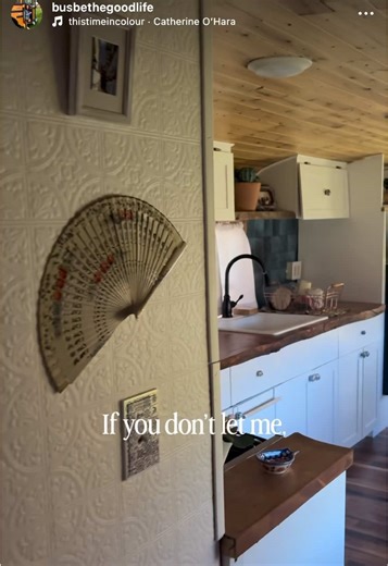 This reel is really nothing without the audio turned on, so turn the volume up for this one! I watched Schitts Creek during a stressful time in my life and it made me laugh out loud! Anyways, I’m glad I’ve graduated from the hellhole to a beautiful tiny home that I love!! 😂💛 #skoolie #catherineohara #homereno #diyproject