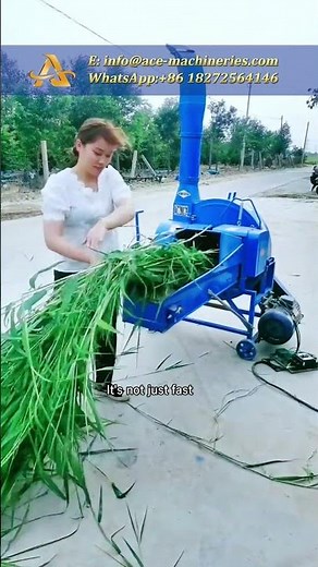 ACE Silage Forage Grinder Shredder Dry Fodder Pasture Cutting Machine
