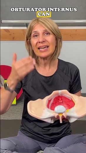 Muscles That Influence the Pudendal Nerve