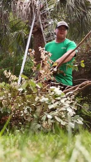 Cleaning Up After Tree Work!
