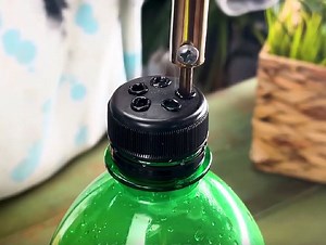 Easy ways to grow plants using simple things! | Green Bean