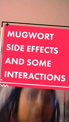 Understanding Mugwort: Uses and Risks