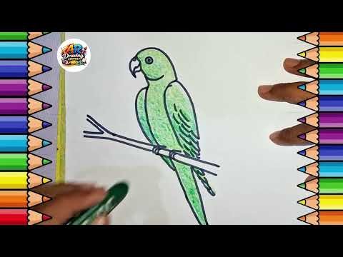 Parrot Drawing Tutorial 🦜 | Simple & Easy Bird Drawing Step by Step | AR Drawing Centre