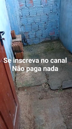 Limpando a casa parte 1 antes de ficar pronto. #limpeza #emfamília.