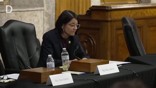 28K views · 1.7K reactions | Rep. Becca Balint on law firms capitulating to the Trump administration: “When the [Vermont Supreme Court] chief justice is finding his voice and speaking publicly, you would think that some law firms could do the same.” | Democracy Docket | Facebook