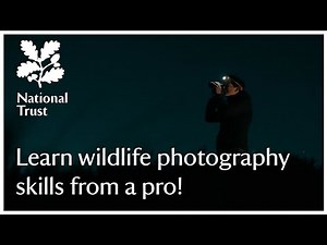 Want to learn the basics of WILDLIFE PHOTOGRAPHY? Join National Trust's Ranger Rosie on Marsden Moor