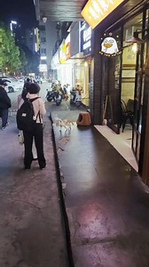 93K views · 3.8K reactions | Học lướt moonwalk cùng Micheal Jackson  | Vũ Trụ Vô Tri | Facebook