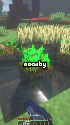 🌾🍞Minecraft Wheat Farming🌾🍞