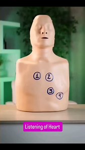 Listening OF heart 🩺🫀 . #mbbs #mbbsstudent #doctor #doctors #viral #medical #tranding #medicine #cardiology #health #heartsound #heartattack #ecg #cardiologists #cardiologist #cardiology #medicalstudents #mbbsstudent | medicalmania007