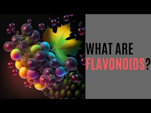 What are Flavonoids?