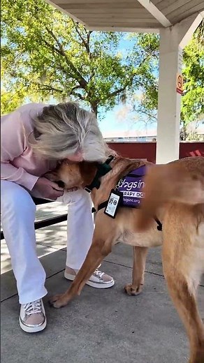 Therapy Dog and Puppy Raiser Reunited After Years Apart