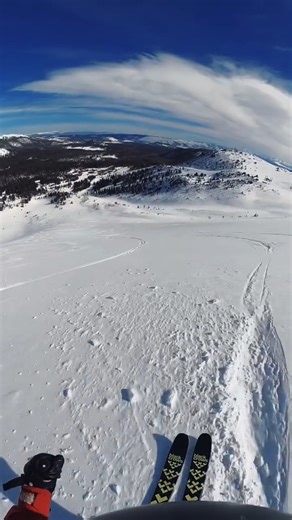 1.3K views · 31 reactions | Mammoth Mountain Ski Area was closed Sunday as winds up to 70 mph made it too difficult for ski patrol to complete avalanche mitigation. But look now! This is Paranoid Flats, a 1,667 ft double black diamond ski run. https://bit.ly/49XGD1R (Courtesy: Mammoth Mountain) | FOX26 | Facebook